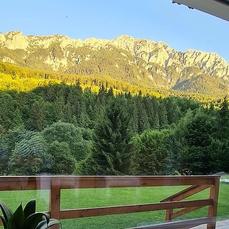 Pensiune Subcrai Cu Centru Spa Zărneşti Exteriér fotografie