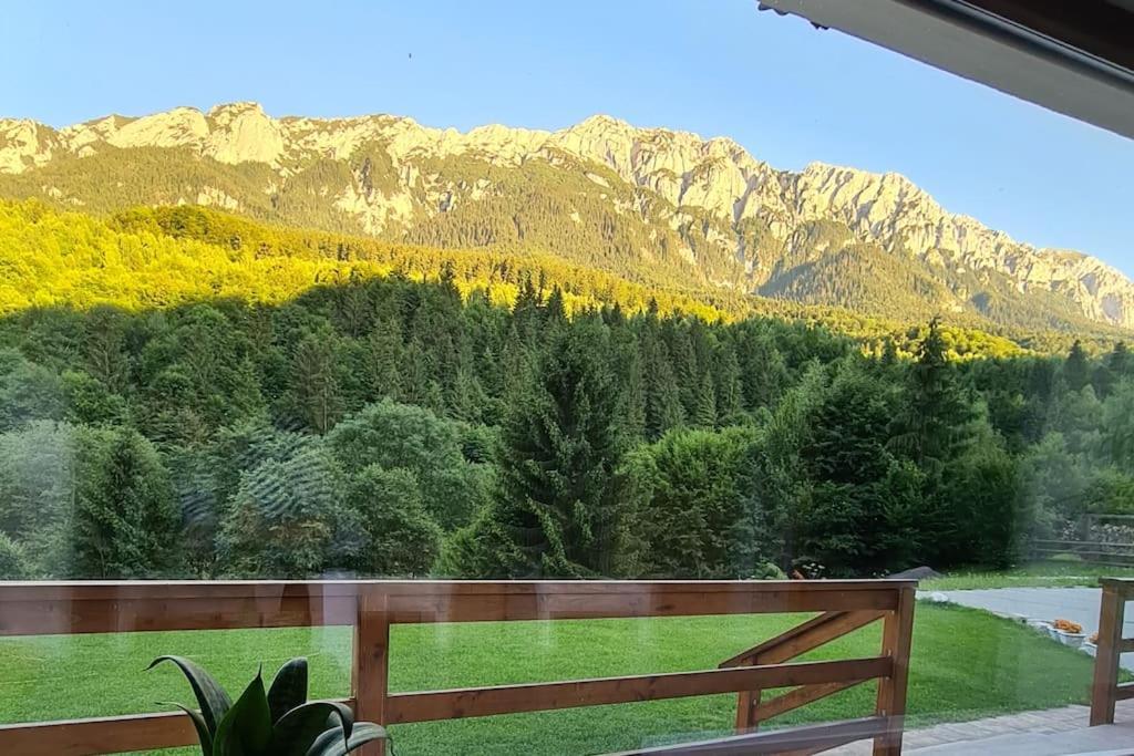 Pensiune Subcrai Cu Centru Spa Zărneşti Exteriér fotografie